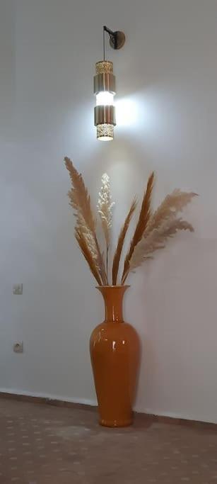 Riad Cosy Marrakesz Zewnętrze zdjęcie